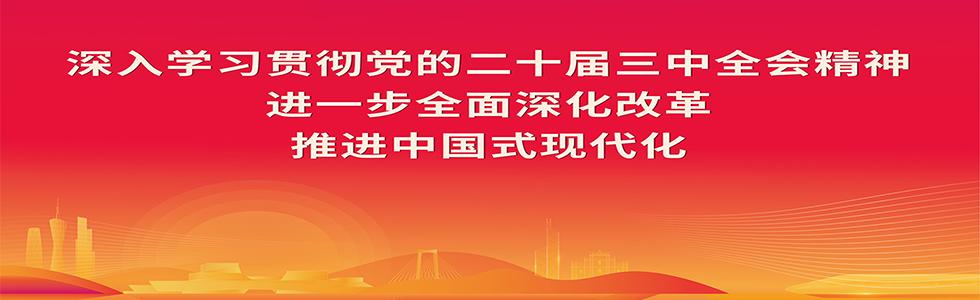 深入学习贯彻党的二十届三中全会精神